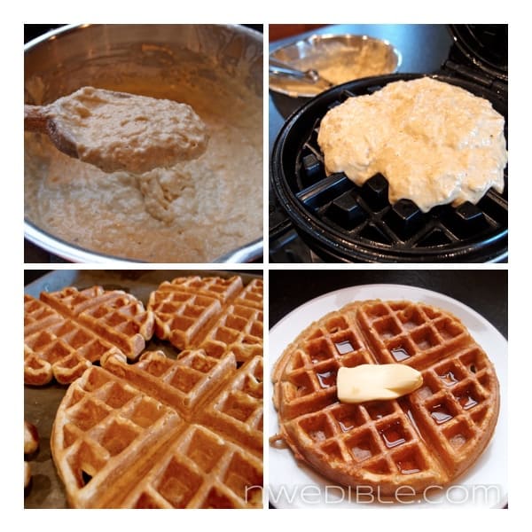 Whole Wheat Waffle Visual Guide 2