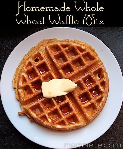 Homemade Whole Wheat Waffle Mix Recipe at NW Edible
