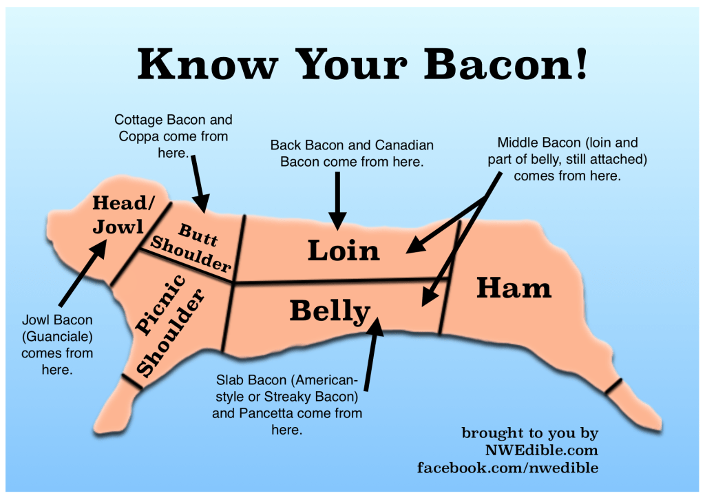 Know Your Bacon!