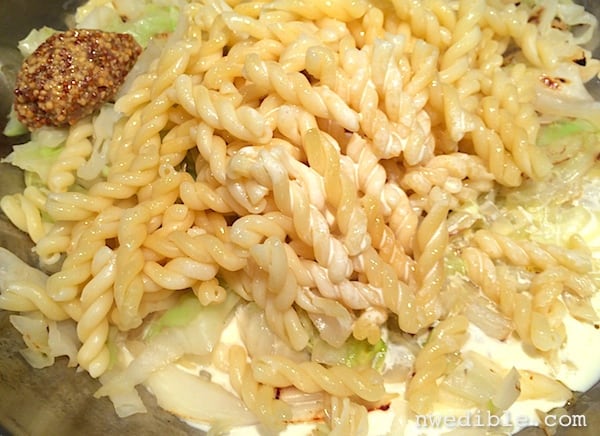 Cabbage and Pasta with Mustard Cream Sauce