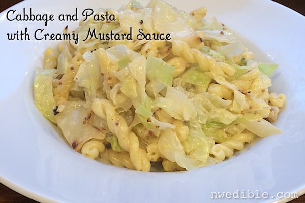 Cabbage and Pasta with Mustard Cream Sauce