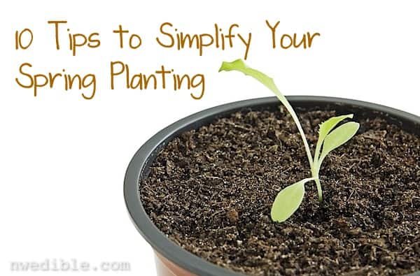 Simplify Spring Planting