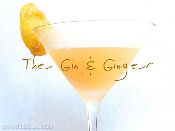Gin & Ginger Cocktail