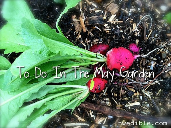 May To Do In The Garden