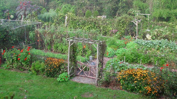 Lee Reich's Garden