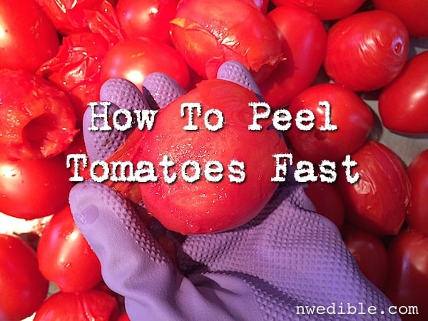 peel_tomatoes_fast_9