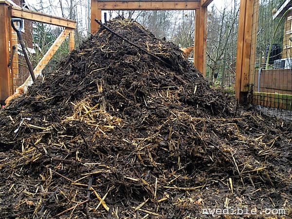 Compost_Pile_2