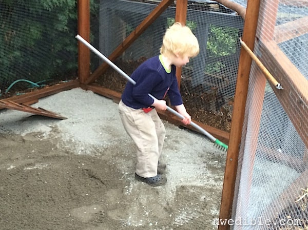 I had help raking out the new sand.