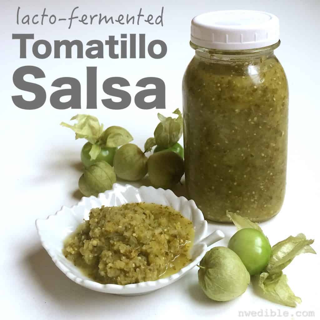 fermented-tomatillo-salsa