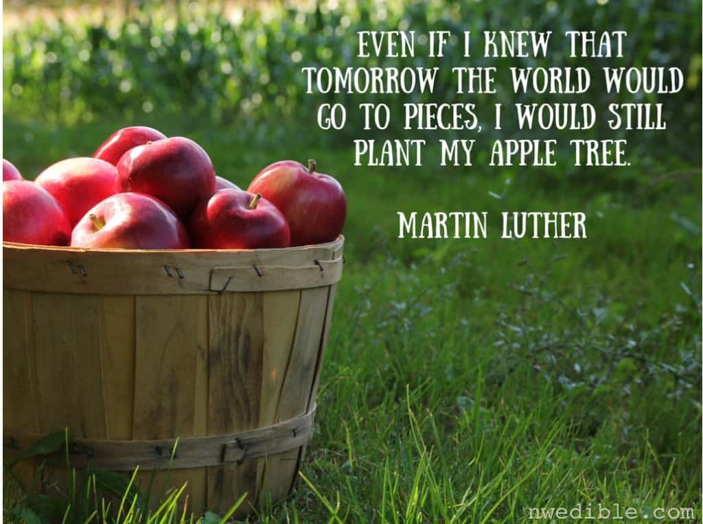 Even if I knew that tomorrow the world would go to pieces, I would still plant my apple tree.Martin Luther