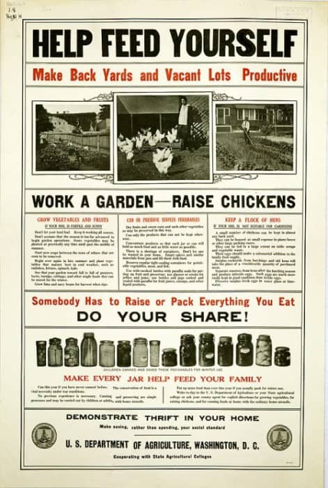 backyard-chickens-1917-e1374777111449