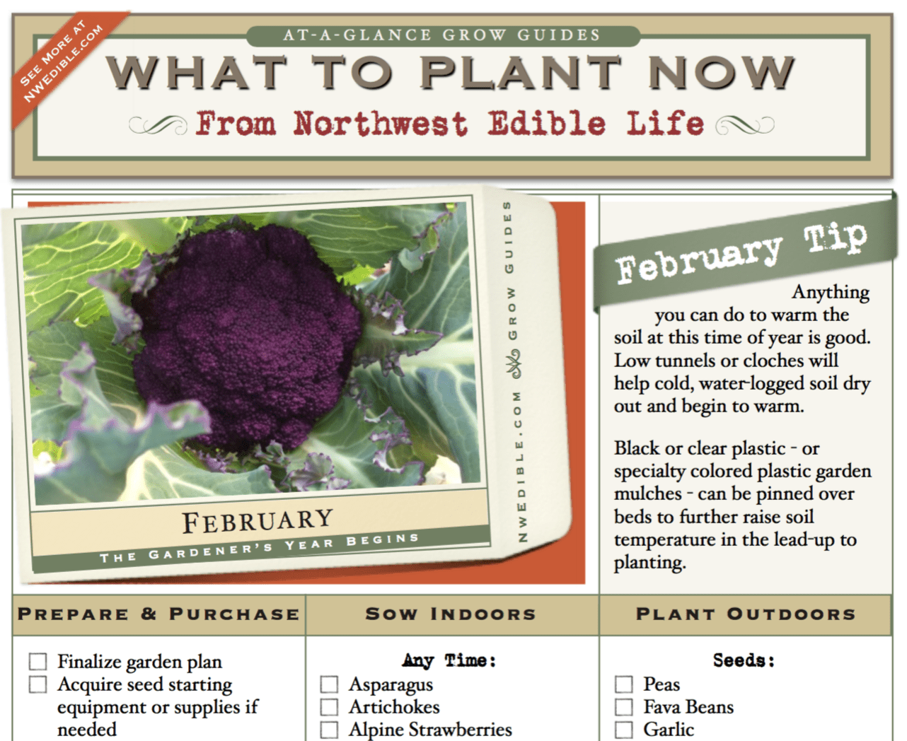 February Gardening Chores For The Pacific Northwest Northwest Edible Life