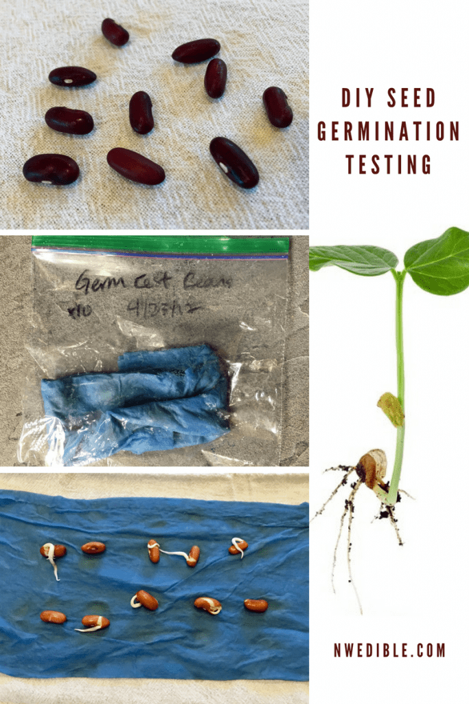 Seed Germination Testing