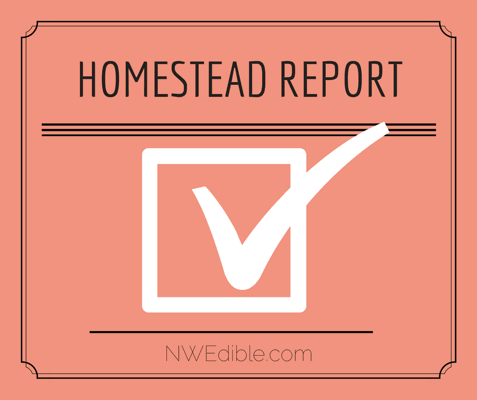 Homestead Report