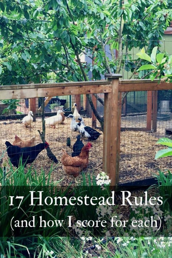 17 Homestead Rules and How I Score For Each Northwest Edible Life