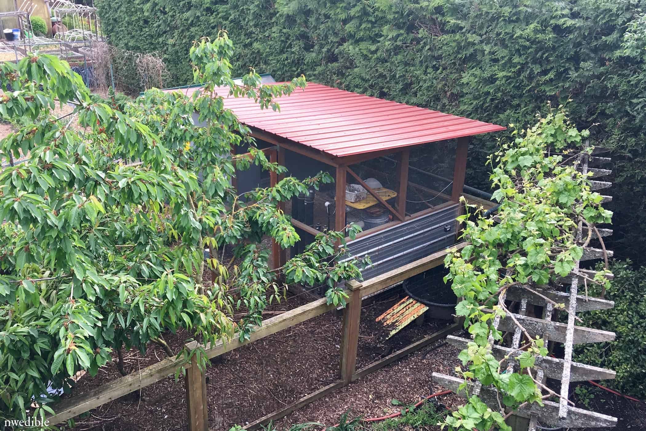 11 Chicken Coop Features I Ll Never Live Without Northwest