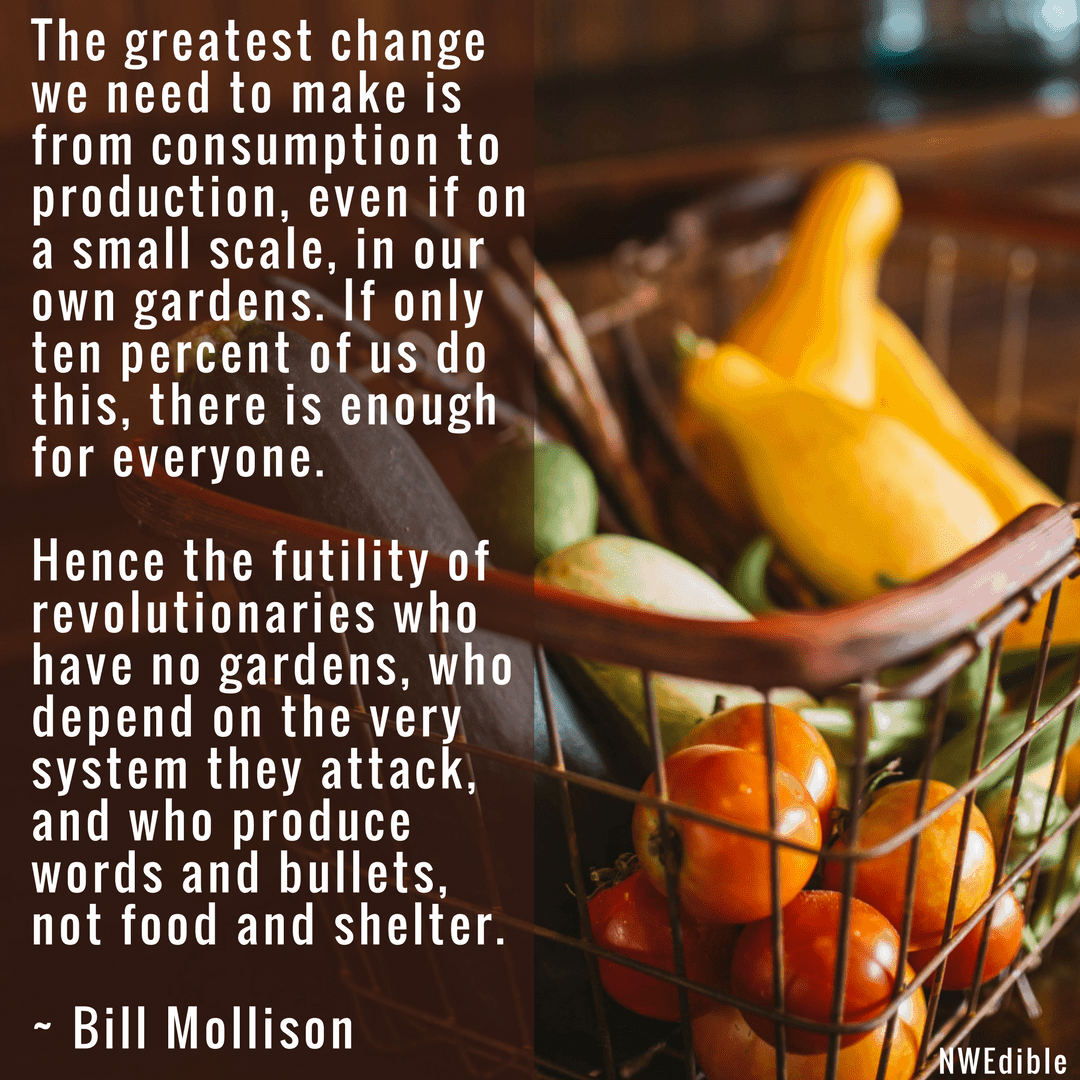 Bill Mollison The greatest change we need to make is from consumption to production