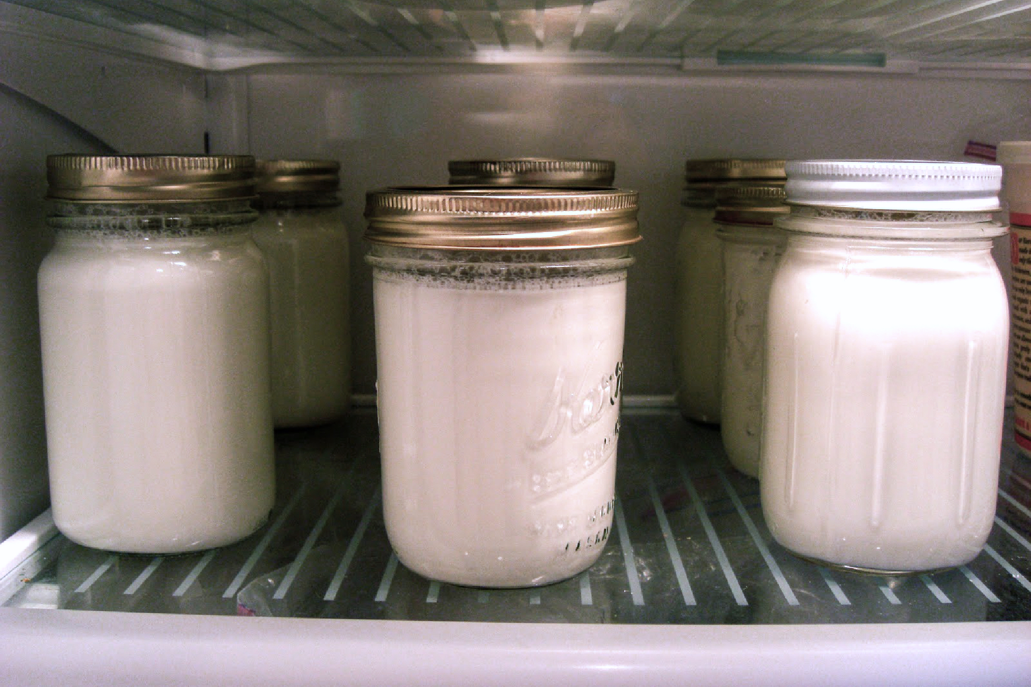 https://nwedible.com/wp-content/uploads/2011/01/Yogurt-in-Mason-Jars.jpeg