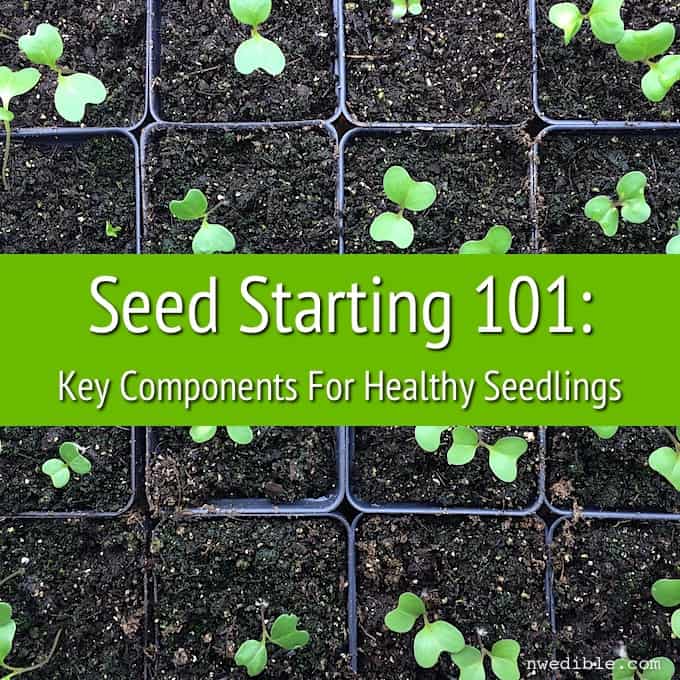 Seeds 101-1