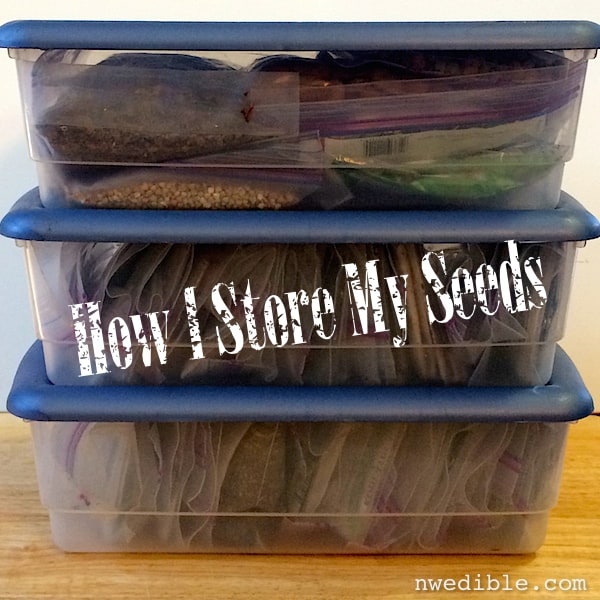 Garden Seed Storage Seed Storage Seed Container Seed Organizer