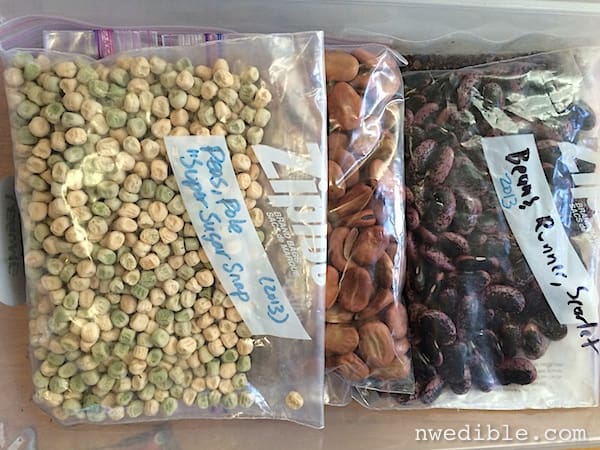 seed_storage_5