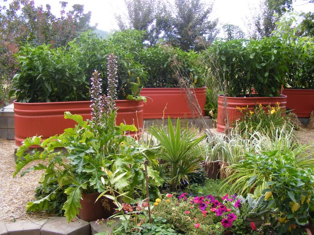 Creative Ways to Use Cattle Troughs in the Garden • Gardenary