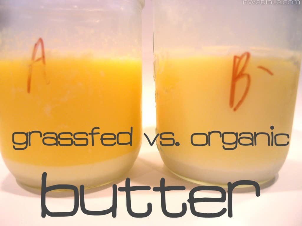 Grassfed vs. Organic Butter And Which One Will Kill You Faster