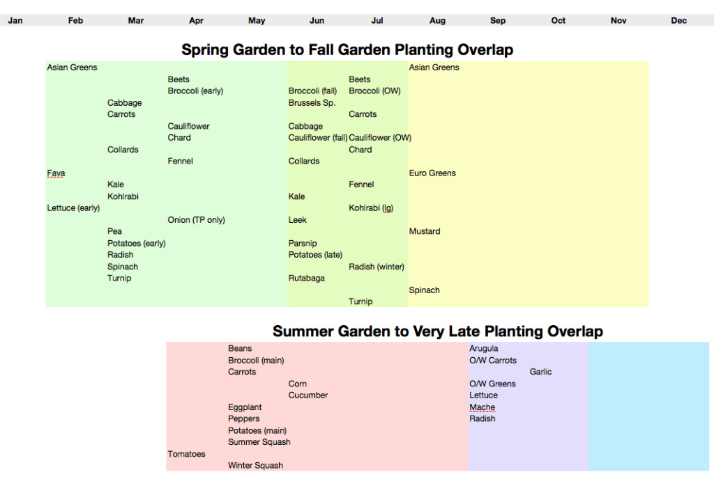 Garden Succession Planting