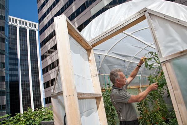 The YWCA rooftop garden in downtown Vancouver.