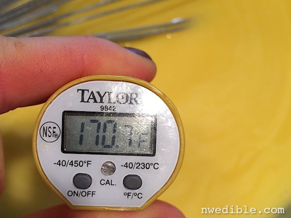 Taylor 9842 Commercial Waterproof Digital Thermometer 