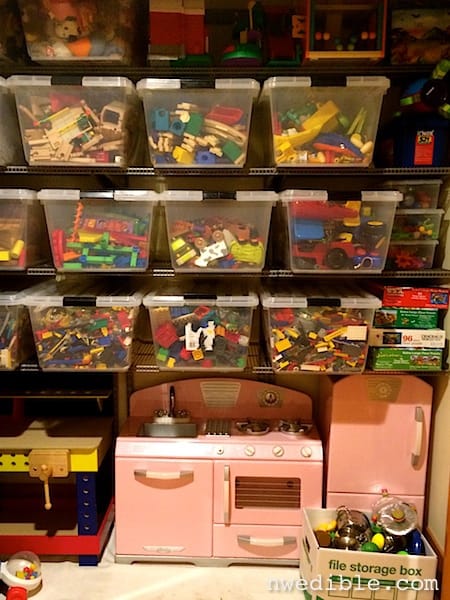 Closet sale toy organizer