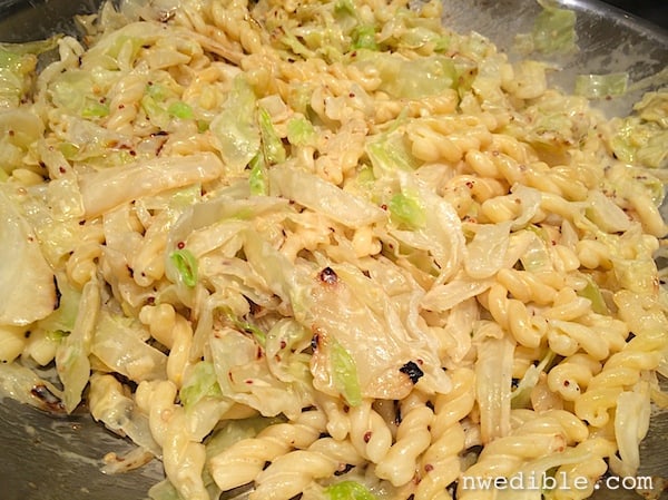 Cabbage and Pasta with Mustard Cream Sauce