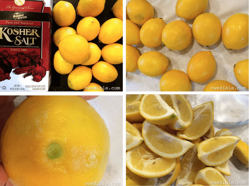 Salt Cured Meyer Lemon