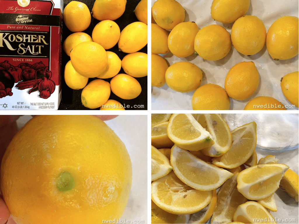 how to make salt preserved meyer lemons (the easy way)