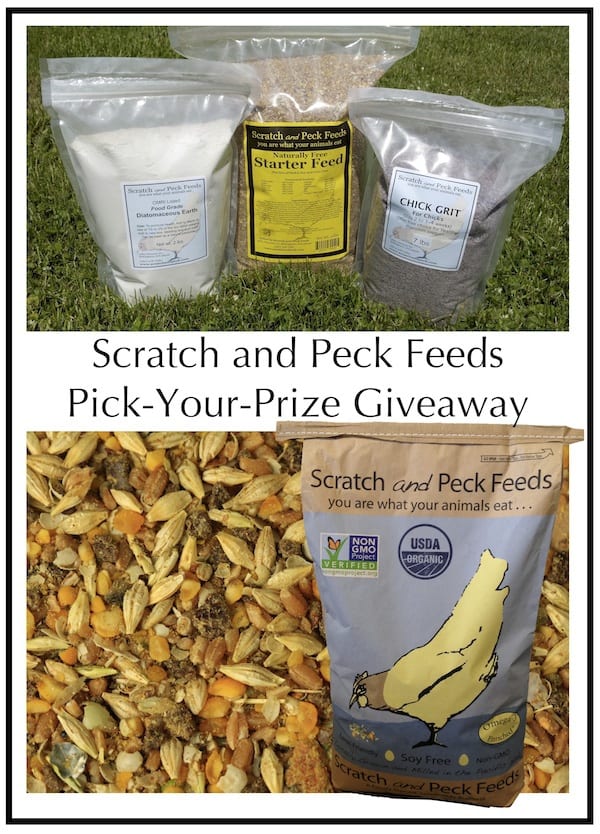 Scratch and Peck Feed Giveaway