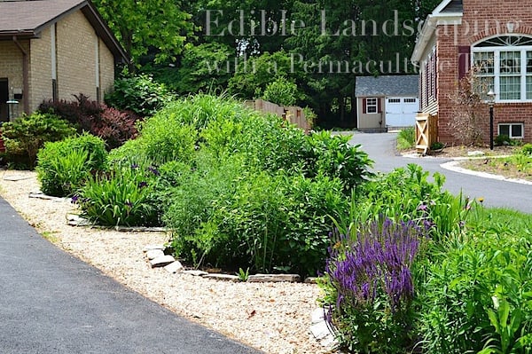 Edible Landcaping