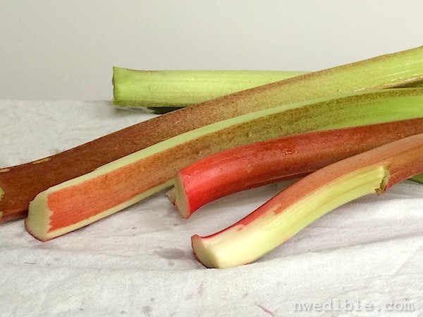 Rhubarb