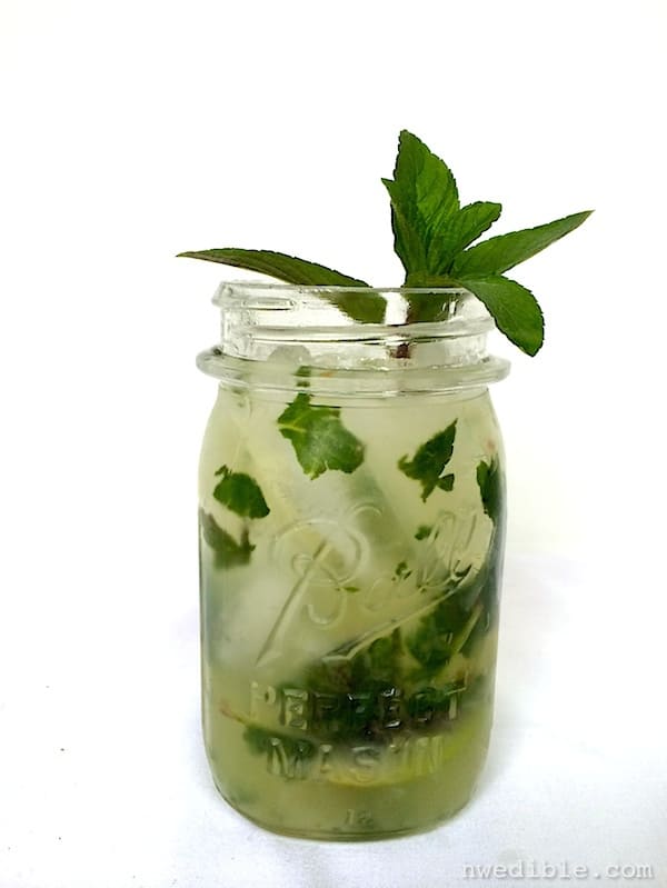 Chocolate Mint Mojito