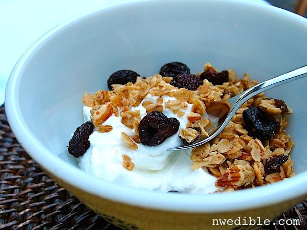 Yogurt with Granola