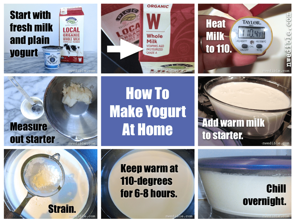 Do You Need To Heat Milk For Yogurt Making Northwest Edible Life