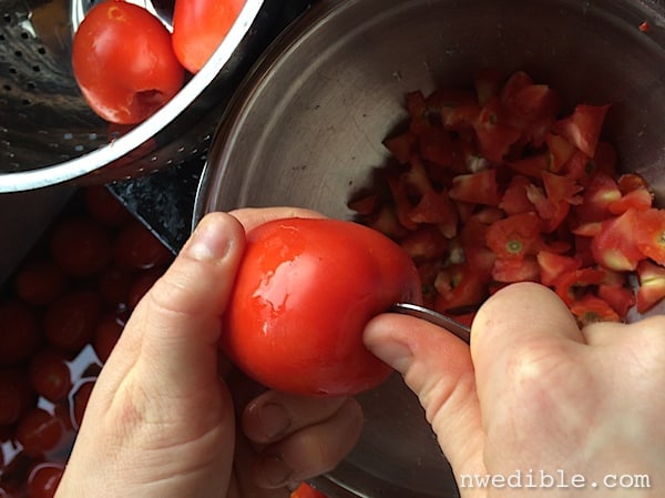 Using the KitchenAid Fruit & Vegetable strainer to process your tomatoes  fast and easy! No blanching 