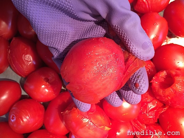 Using the KitchenAid Fruit & Vegetable strainer to process your tomatoes  fast and easy! No blanching 