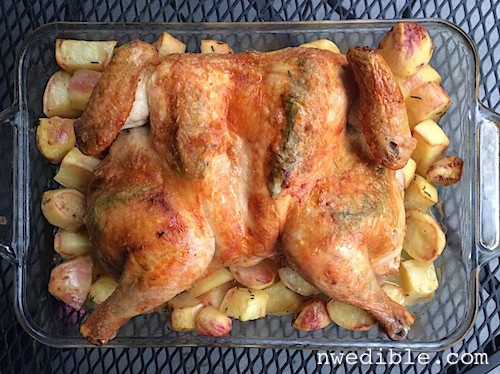 I've made roasted chicken ten times in the past two weeks.