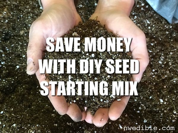 How to Make Your Own Seed-Starting Mix