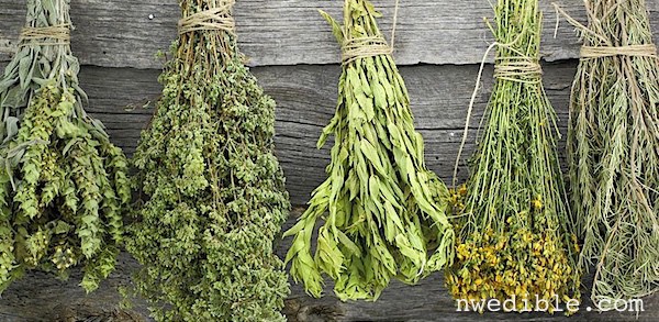 Dried herbs