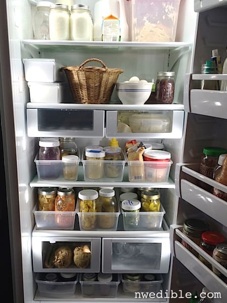 A Look Inside My Fridge