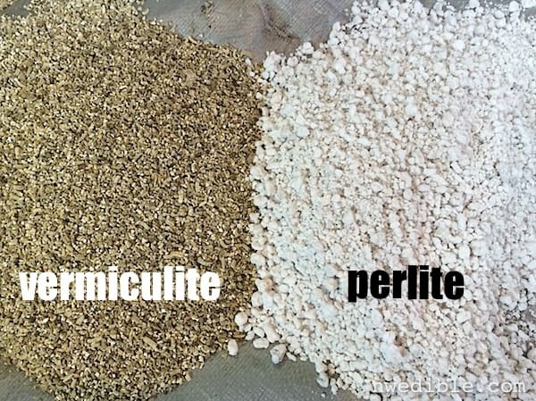 Vermiculite vs Perlite