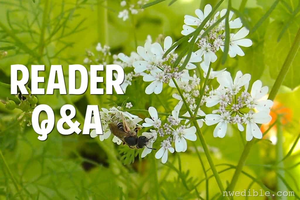 Reader Q&A