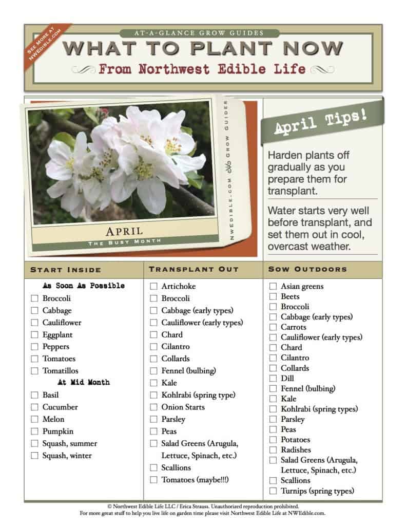 FREE Downloadable - everything you need to know about what to plant in the April Vegetable garden.