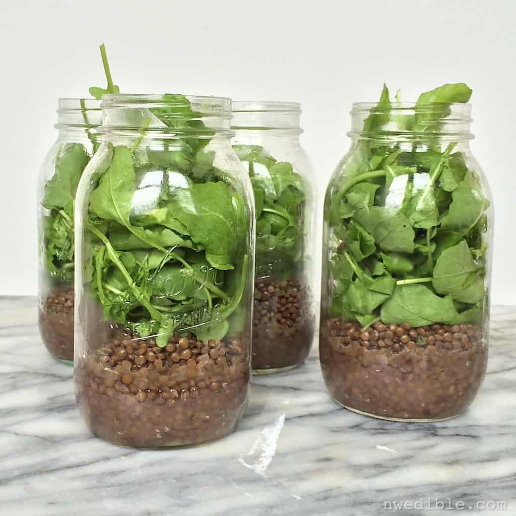 lentils-arugula